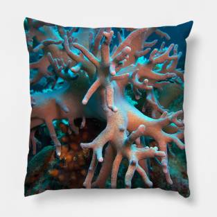 Red Sea Soft Coral Pillow