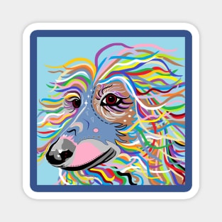 Colorful Afghan Hound Magnet