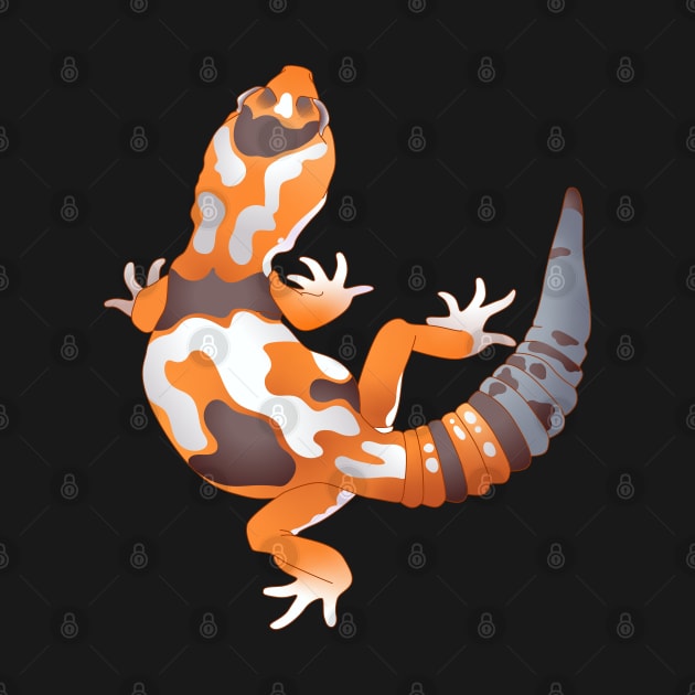 Whiteout African Fat Tailed Gecko by ziafrazier