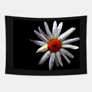 Digital Daisy Tapestry