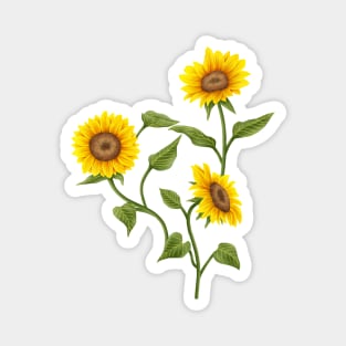 Sunflowers Magnet