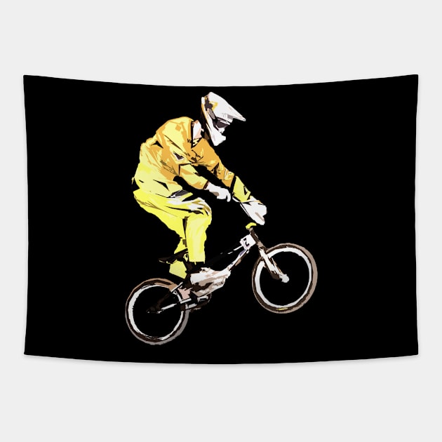 bmx Tapestry by rickylabellevie