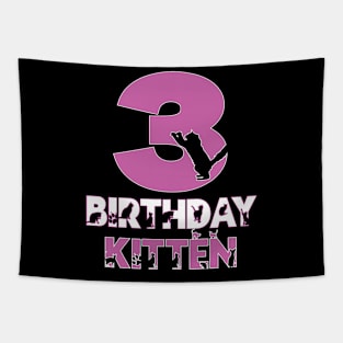 3rd Birthday Kitten Girl 3 Years Old Cute Cat Lover Party graphic Tapestry