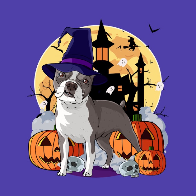 Boston Terrier Scary Halloween Witch Pumpkin by Noseking