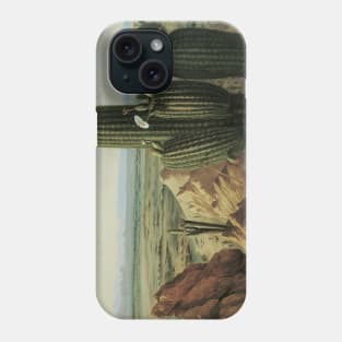 View from Maricopa Mountain Near the Rio Gila by Pratt Phone Case