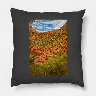 Watchman Trail View, Zion National Park Pillow