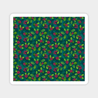 Cranberry Fruit Pattern on Dark Teal Magnet