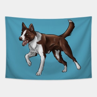 Smooth Coated Border Collie Dog | Chocolate and White Tapestry