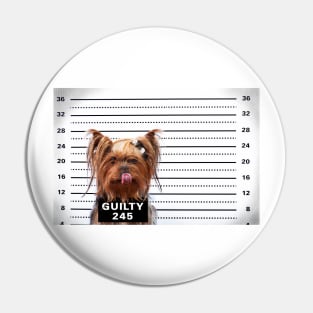 Guilty Yorkie Pin