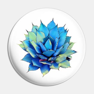 Agave Succulent Pin