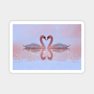 Love Swans (Two Swans) Magnet