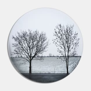 Trees in the winter Pin