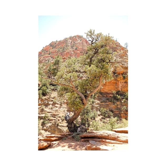 Zion Hike 1 View 1 by bobmeyers