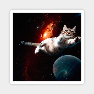 Cat in space Magnet