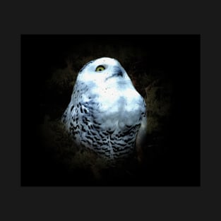 Snowy owl T-Shirt