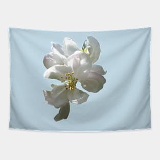 Apple Blossom Tapestry