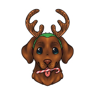 Christmas Chocolate Labrador Retriever Dog Blue/Green Eyes T-Shirt