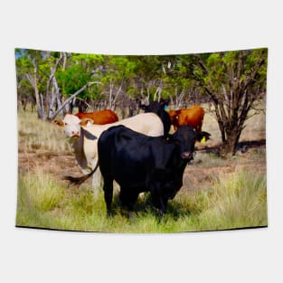 Cattle in the Outback! Tapestry