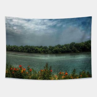 Picturesque scenic tranquil landscape of Danube river Tapestry