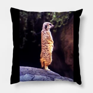 What's Up Meerkat? Pillow