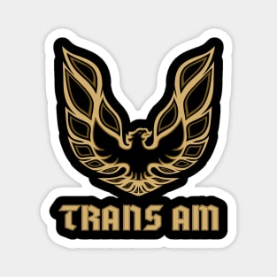 Transam on Black Magnet