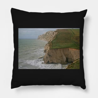 Freshwater Bay Pillow