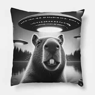 Capybara selfie with UFO Pillow