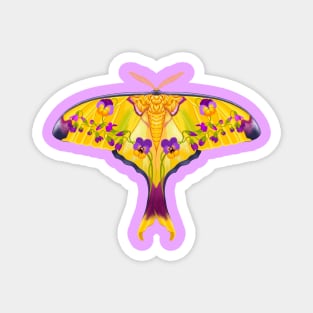 Violet Comet Moth Magnet