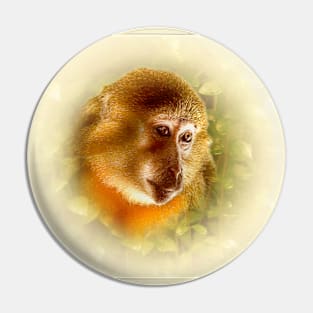 Golden-bellied mangabey Pin