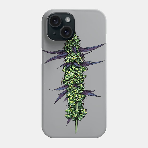 Kola Phone Case by William Gilliam