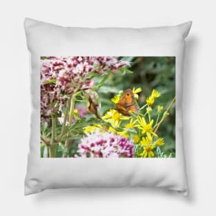 Gatekeeper Butterfly Pillow