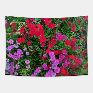 ALL COLOR FLOWERS PHOTOGRAPHY MY Tapestry