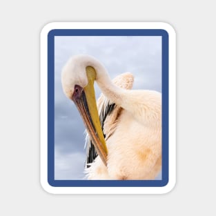 Pelican. Magnet