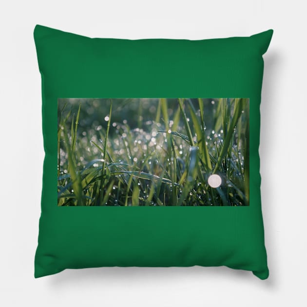 Grass Shining with Raindrops Pillow by 1Redbublppasswo