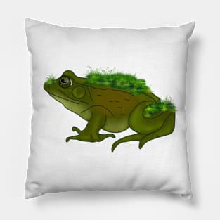 Moss Frog Pillow