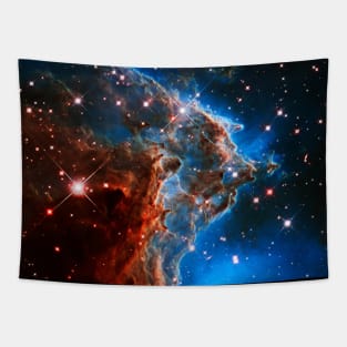 Monkey Head Nebula Tapestry