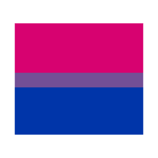 Bi pride flag T-Shirt