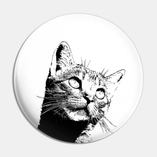 Cat cat cat Pin