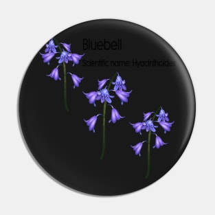 Bluebell (Scientific name Hyacinthoides) Pin