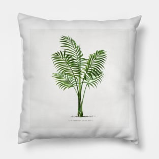 7 Les Palmiers Histoire Pillow