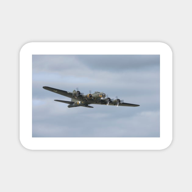 Sally B Magnet by Nigdaw