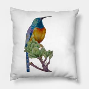 Orange Breasted Sunbird Hand Painted Pillow