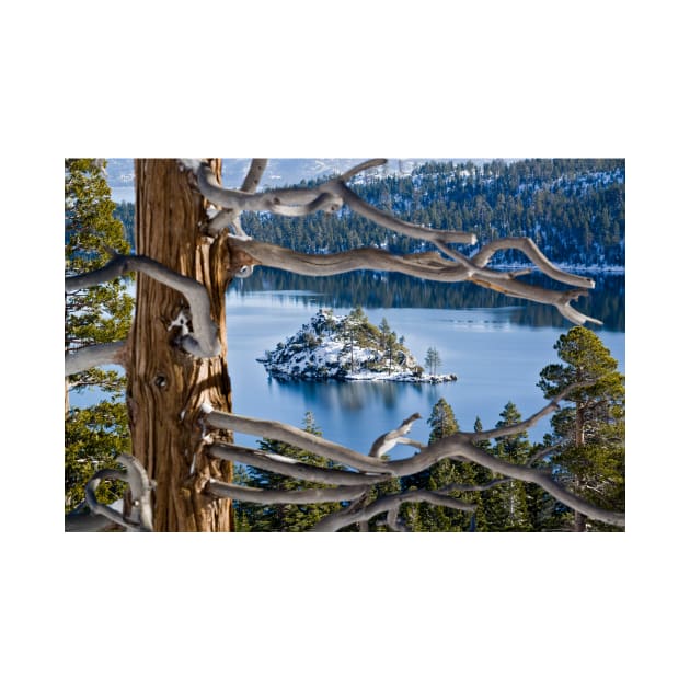 Window to Emerald Bay by StacyWhite