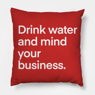 Drink water and mind your business Pillow