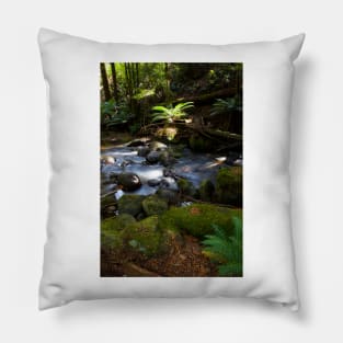 Taggerty Cascades #1 Pillow