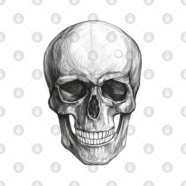 Skull,drawing by kdegtiareva