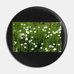 Wild Anemones Pin