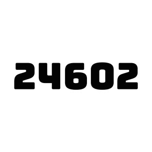 24602 T-Shirt