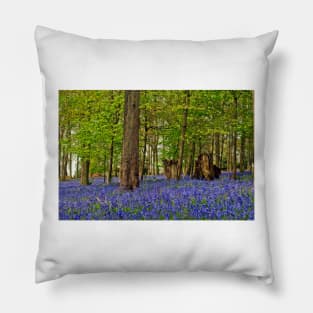 Bluebells Bluebell Woods Greys Court Oxfordshire UK Pillow