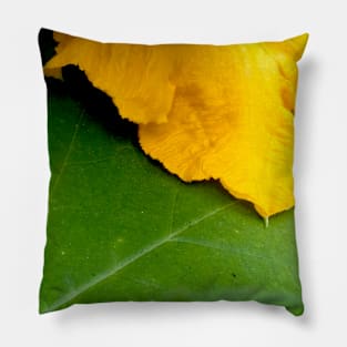 Pumpkin Blossom & Foliage Pillow